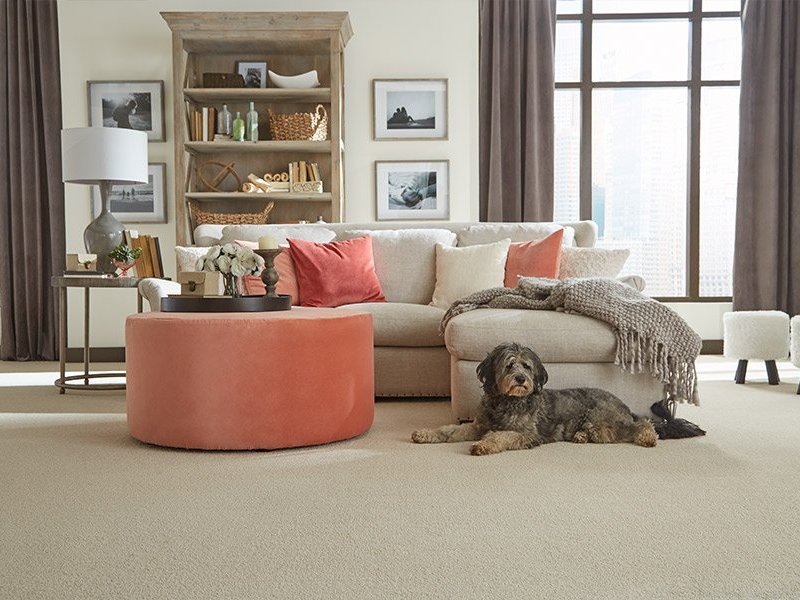 When to choose natural fiber carpet flooring over synthetic